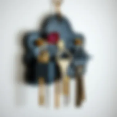 Creative wall-mounted key organizer with artistic features