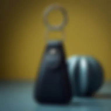 Elegant leather keychain holder for stylish decor