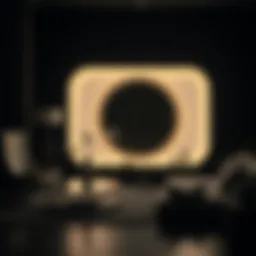 Çiçek Sepeti ile LED'li Fotoğraf Düzenlemeleri Introduction