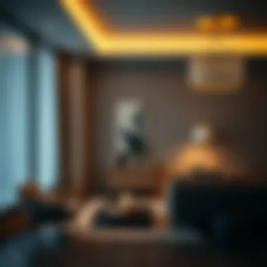 Çiçek Sepeti ile LED'li Fotoğraf Düzenlemeleri Summary