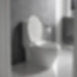 Clear toilet seat models showcasing modern design