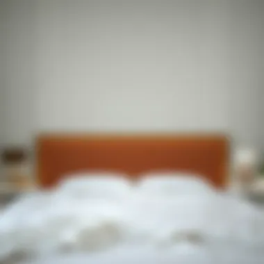 Luxurious Comfort for Your Bedroom Luxurious double fitted sheet on a well-made bed