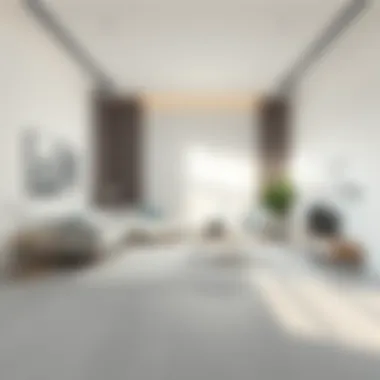 Elegant minimalistic room featuring a white flat rug