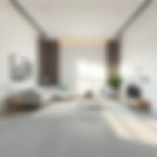 Elegant minimalistic room featuring a white flat rug