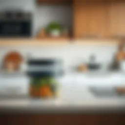 A modern food storage container on a kitchen countertop