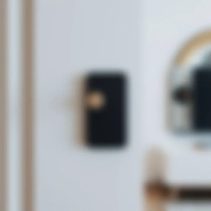 Innovative door hook designs for maximizing space efficiency