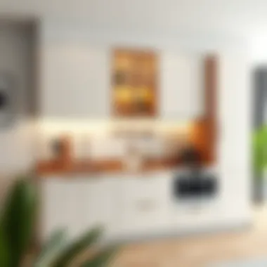 Elegant small kitchen cabinet showcasing modern design