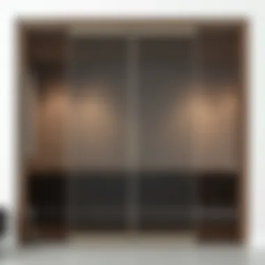 Sleek Minimalism: Glass Sliding Doors Minimalist sliding door with glass panels