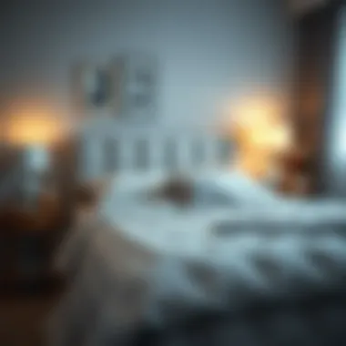 Maintenance tips for bed protectors