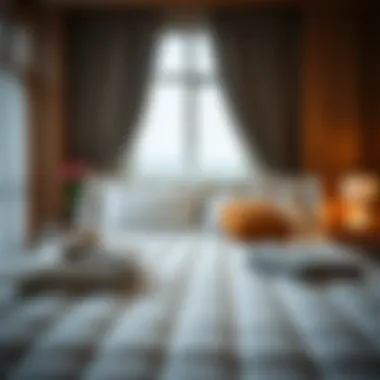 Various types of bed protectors showcasing options