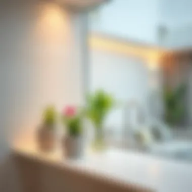 Stylish Home Decor with Integrated Transparent Flower Boxes Stylish home decor with transparent flower boxes integrated