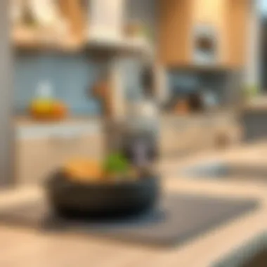 Enhancing Kitchen Efficiency with Smart Design User-friendly dish drying mat enhancing kitchen efficiency